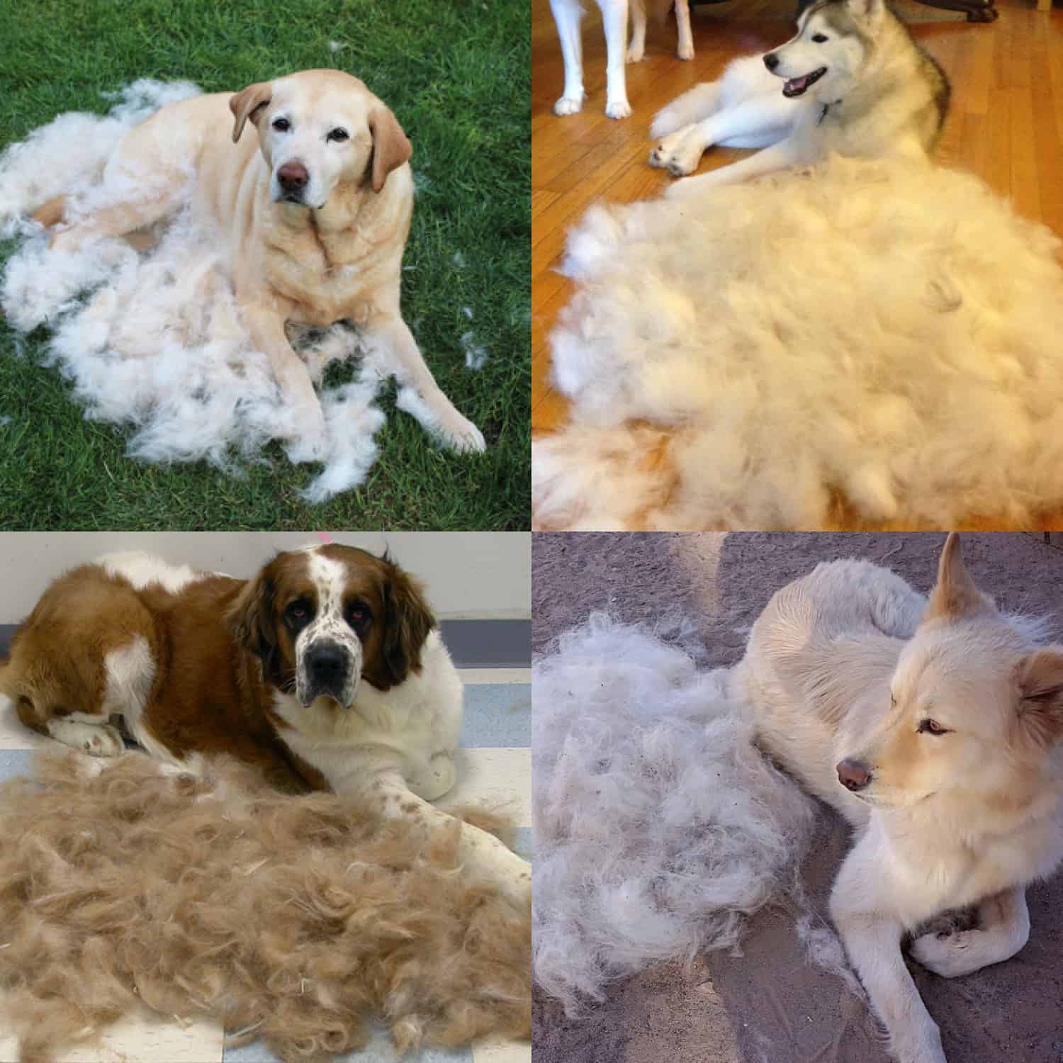 NA OBDOBIE VÝMENY SRSTI
