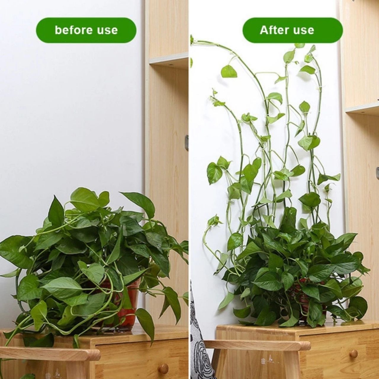 Vines, samolepiace držiaky rastlín a popínavé rastliny (100 kusov) - Image 5